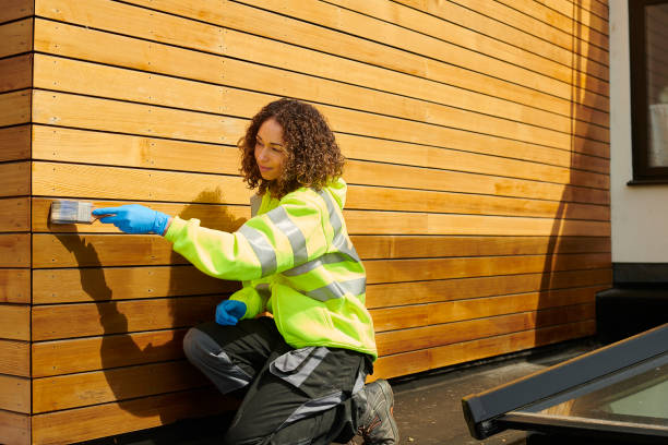 Best Steel Siding Installation  in Pine Knot, KY